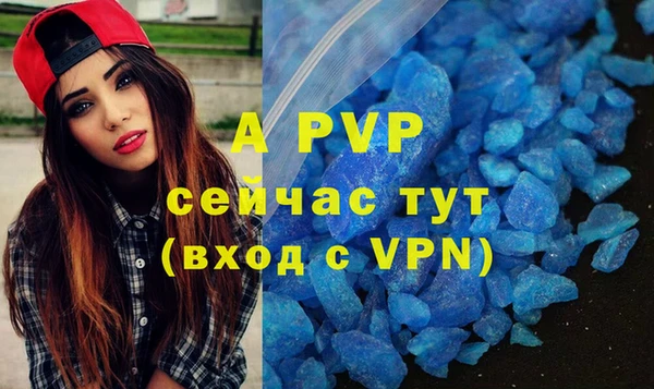 прущие грибы Струнино